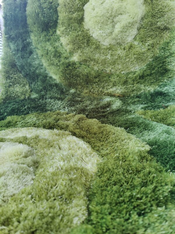 Premium Shaggy Modern Rug for Living Room, Elegant Bed Side Runner in Fresh Green - Image 5