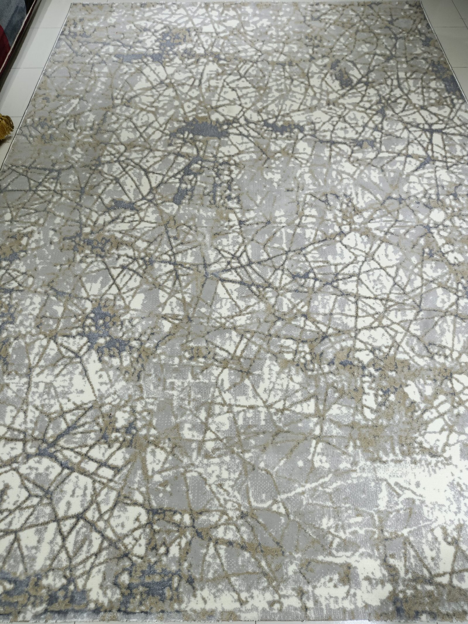 Monalisa Collection Modern Grey Rug – 6.5×9.5 ft | Premium Turkish Carpet (WR-11 Design) - Image 6